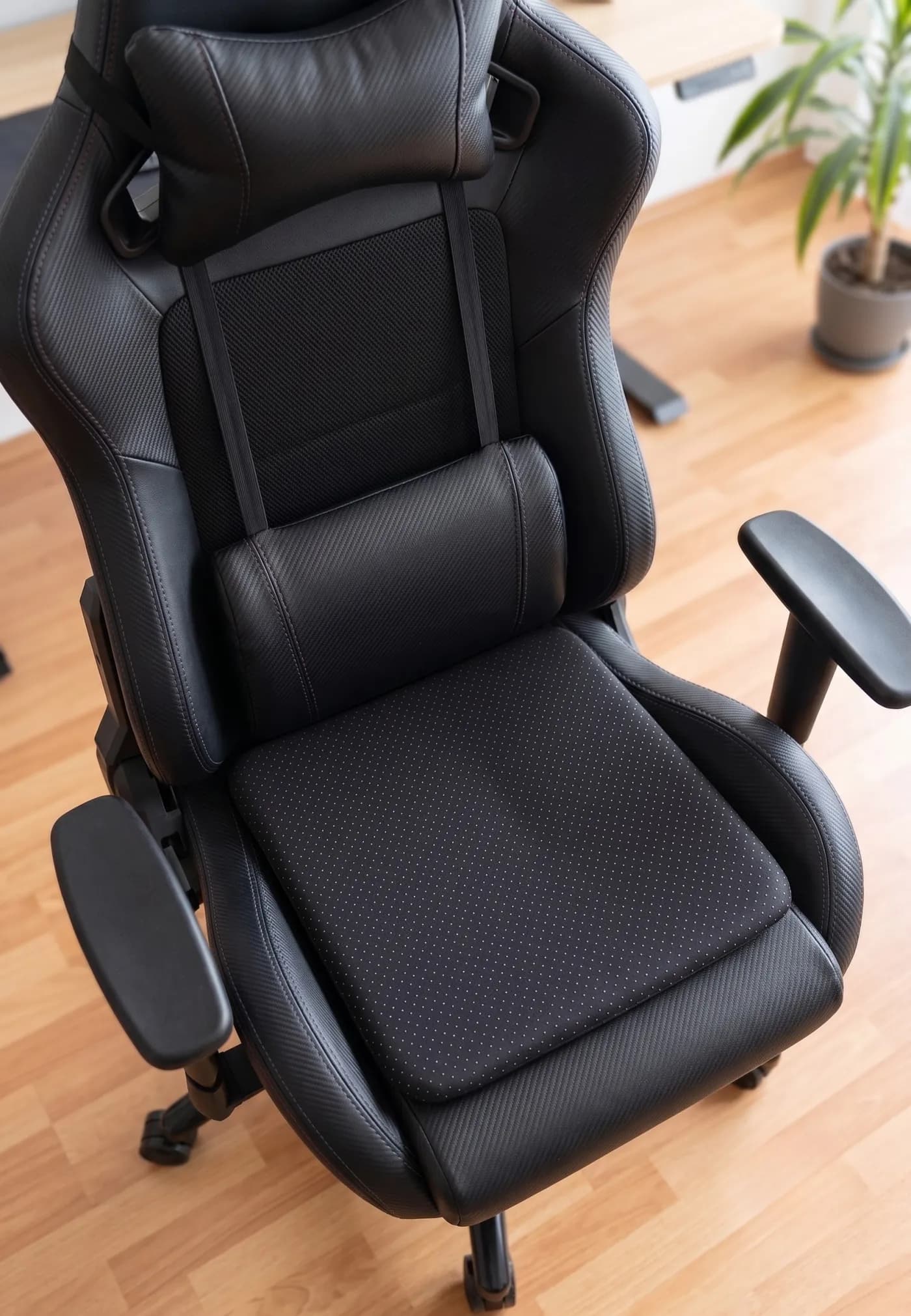 Coussin SIVEA — Au setup